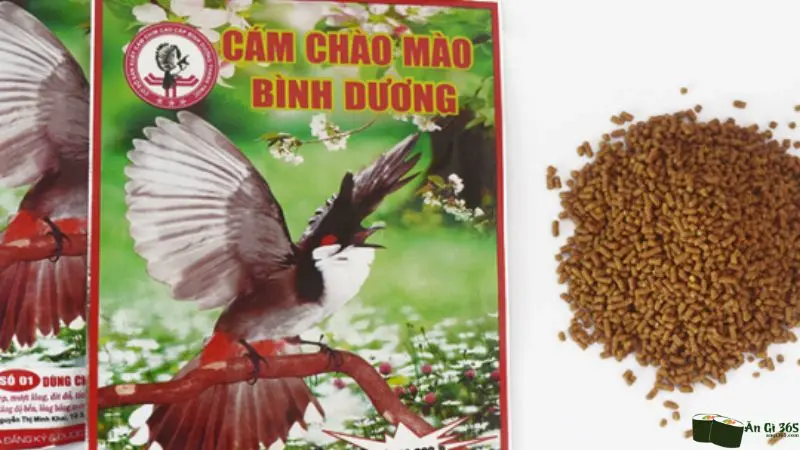 Cho chào mào ăn cám